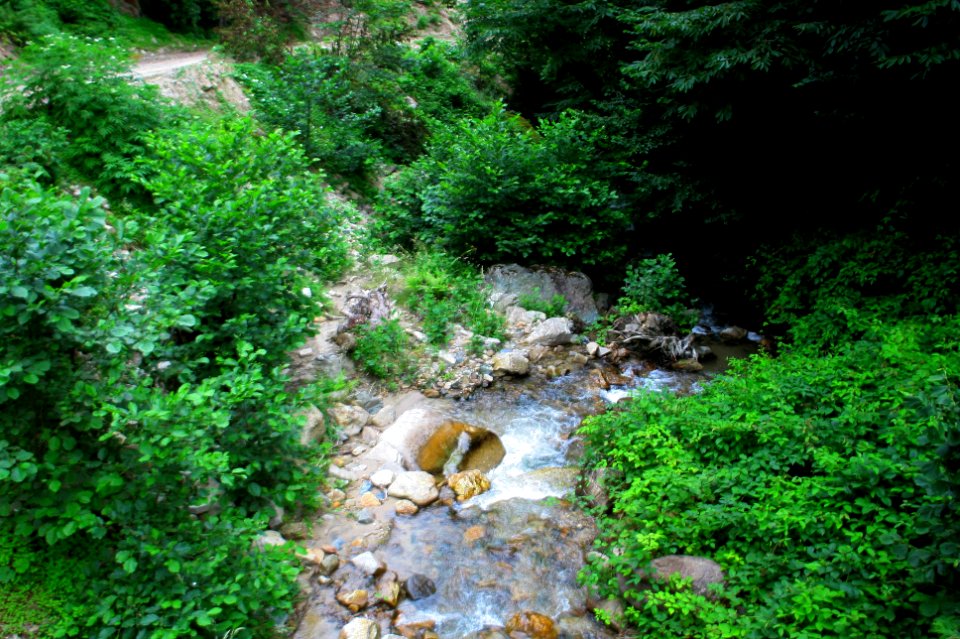 Başköy-Senoz-Çayeli-Rize