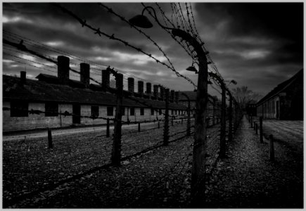 2016-11 Auschwitz- 02-20161111 photo