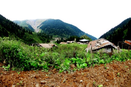 Çahçor yaylası Senoz Çayeli Rize