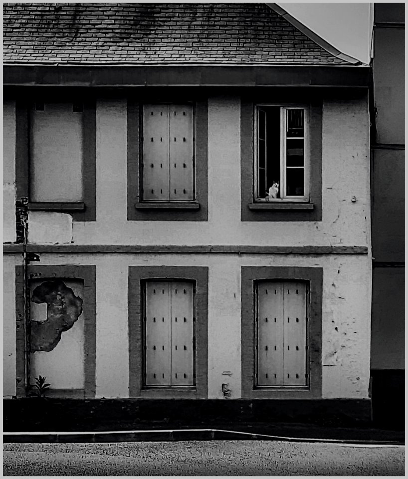 Confinement-2019-2020-2021 Humain-066-20200411