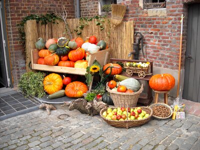 Vegetables autumn halloween
