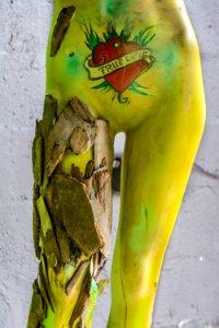 Wynwood Walls