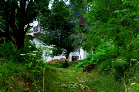 Başköy-Senoz-Çayeli-Rize