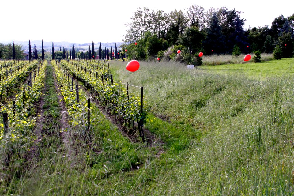 zz-Nigoline-VistasuRotondacentrale-Ridotta
