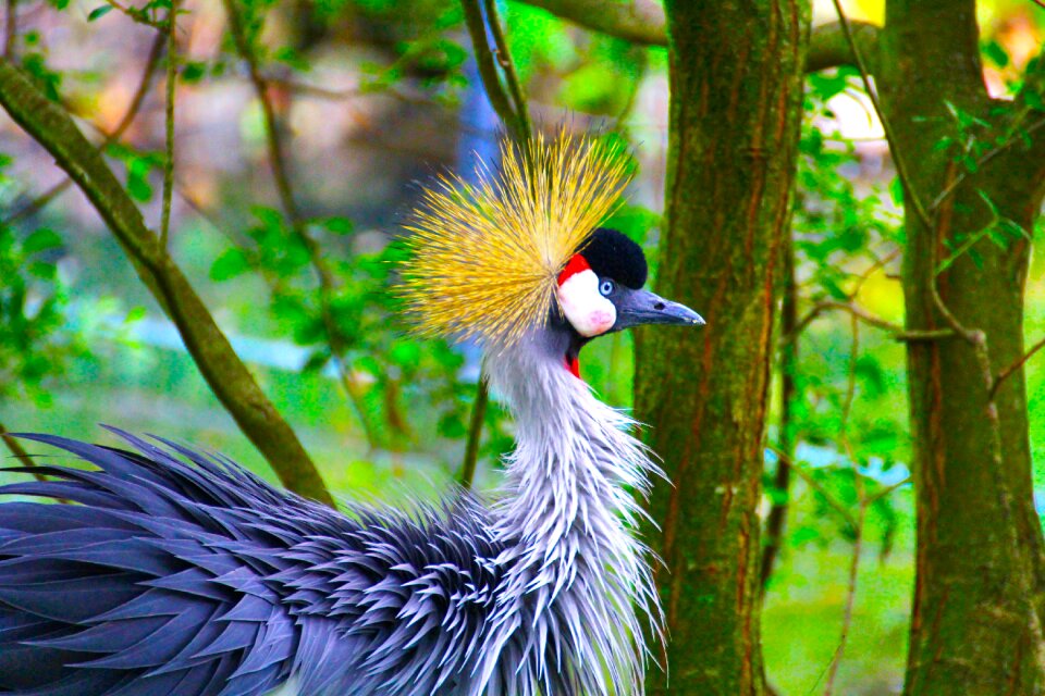 Dresden zoo animal portrait