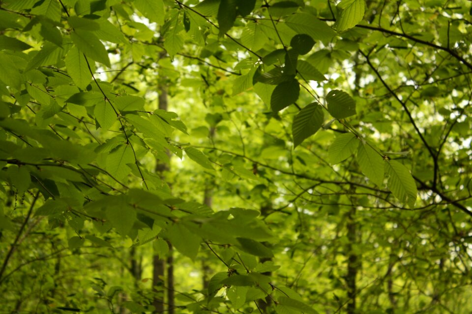 Bright green colourful bright