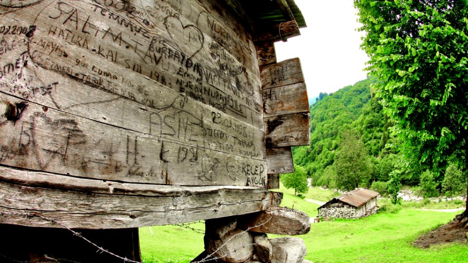 Şarinçor Yaylası Senoz Çayeli Rize