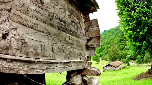 Şarinçor Yaylası Senoz Çayeli Rize
