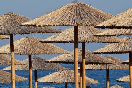 Beach umbrella sun photo