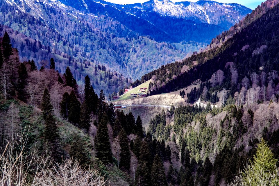 Ayder