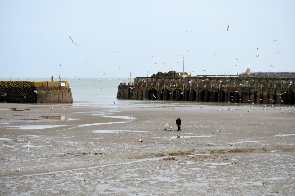 Folkestone port at low tide