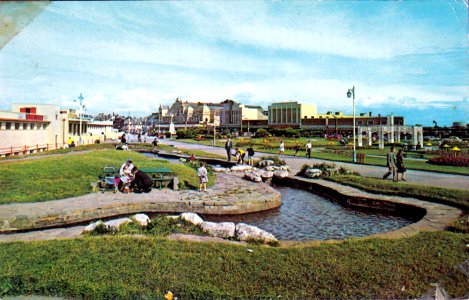 misc1981