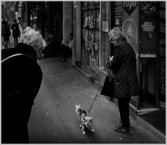 2019-2020-2021 Humain-015-20190407