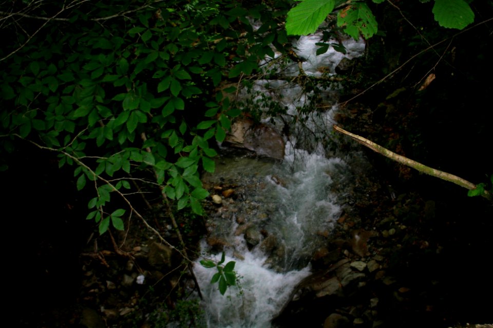 Başköy-Senoz-Çayeli-Rize
