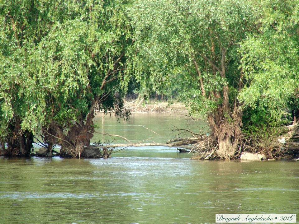 Călătorie pe Dunăre/ Voyage sur Danube