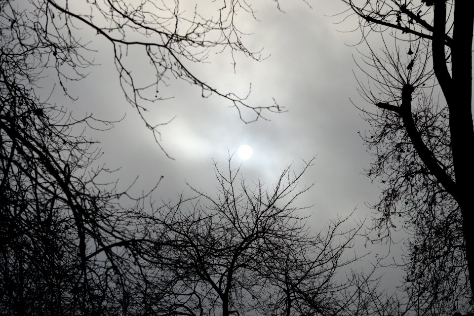 Wintery and cloudy sky