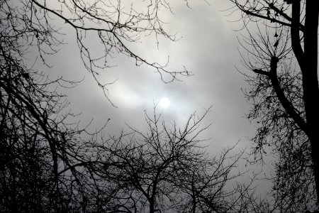Wintery and cloudy sky
