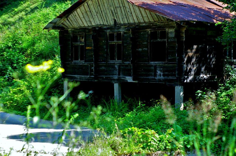 Başköy Senoz Çayeli