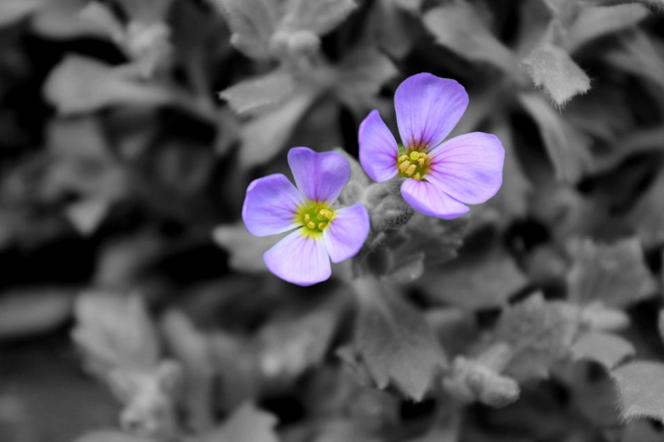 A splash of colour