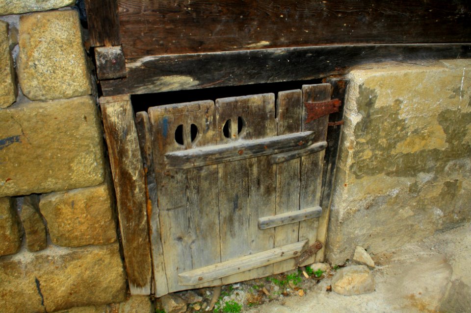 Başköy-Senoz-Çayeli-Rize