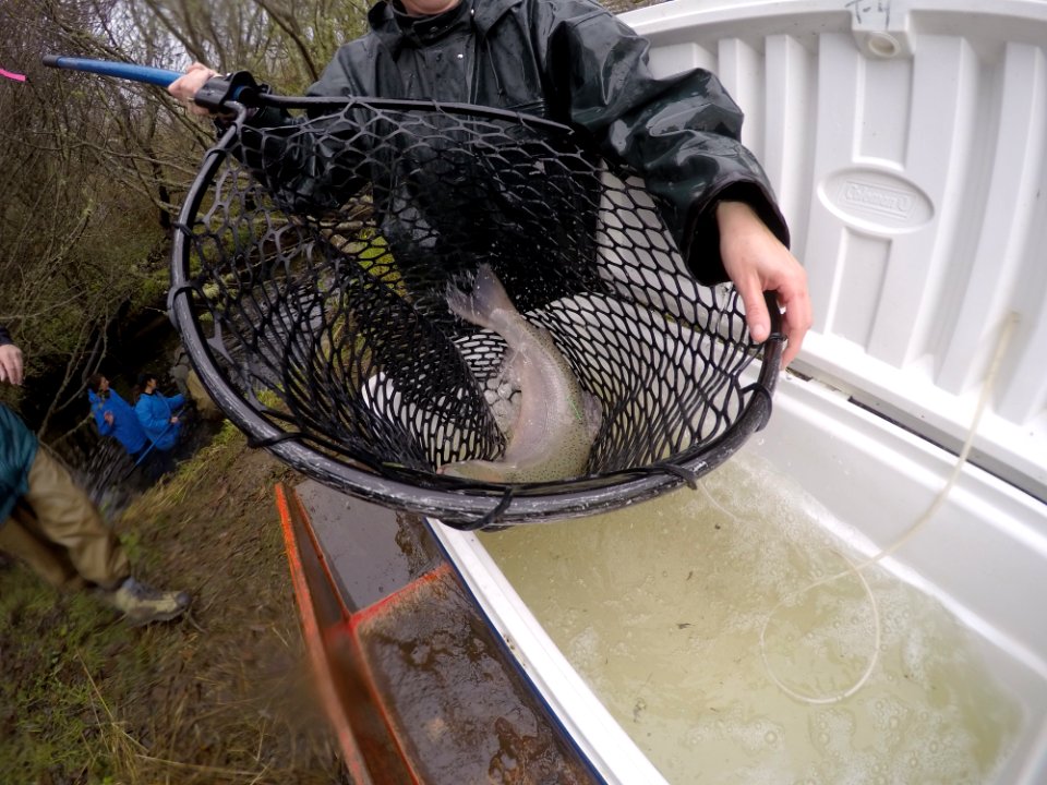 Project Coho Jumpstart