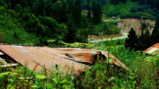 Çahçor yaylası Senoz Çayeli Rize