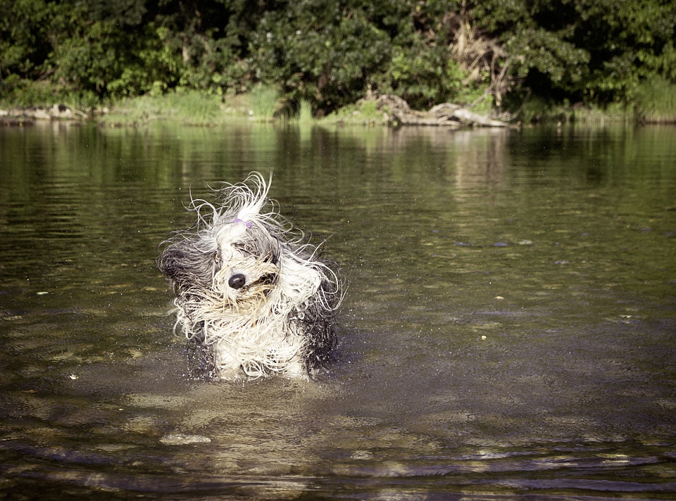 Bathe river entertainment