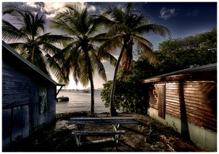 2016-11 Grenadines-112-20161203 photo