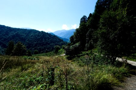 Başköy Senoz Çayeli Rize