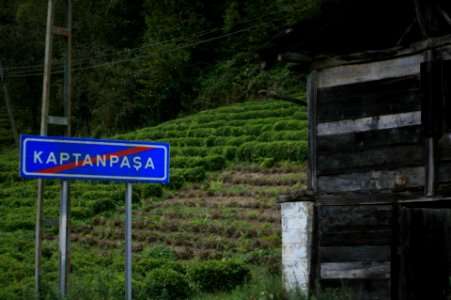Başköy ,Senoz Çayeli Rize