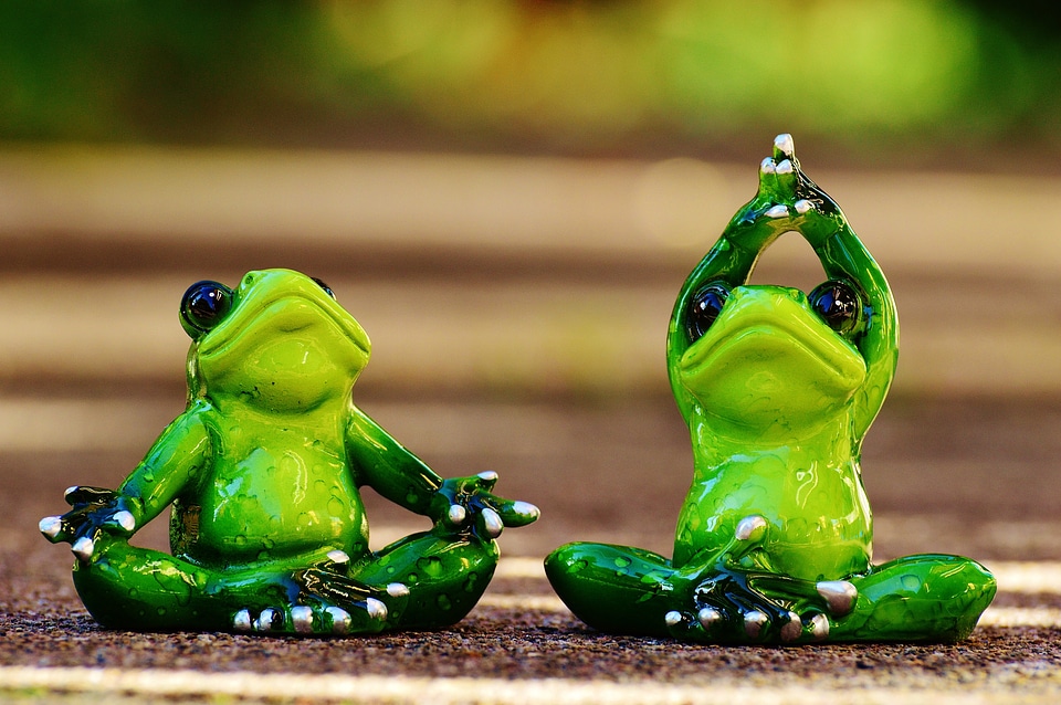 Gymnastics funny frog