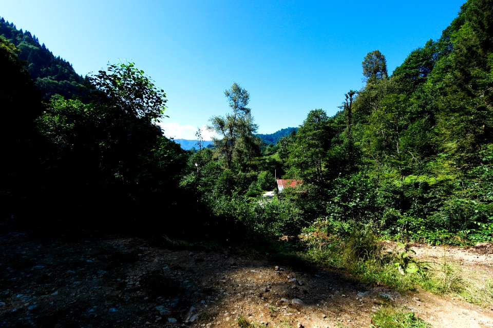 Başköy Senoz Çayeli Rize