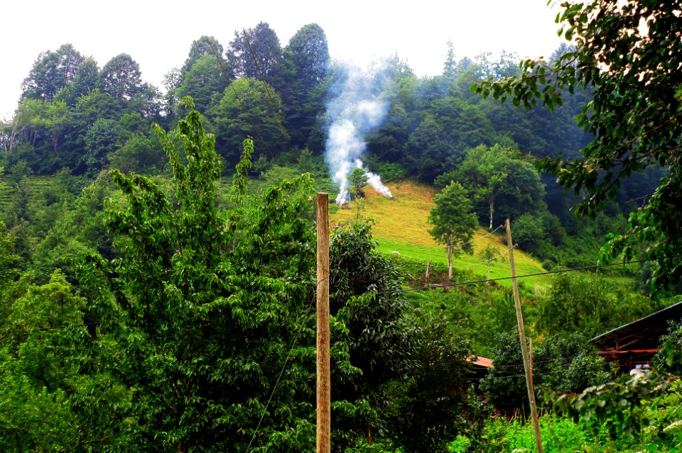 Başköy-Senoz-Çayeli-Rize