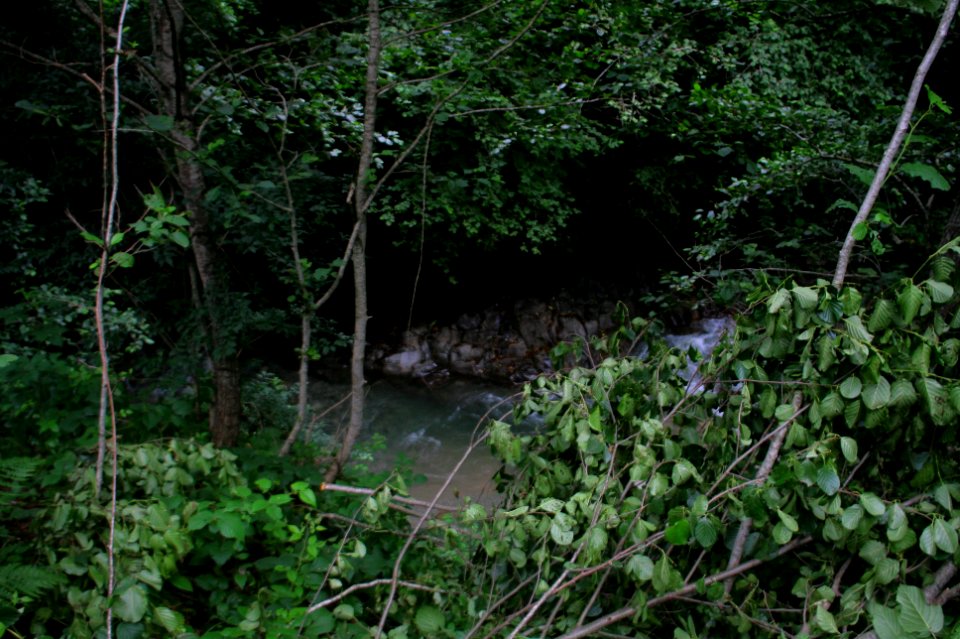 Başköy-Senoz-Çayeli-Rize