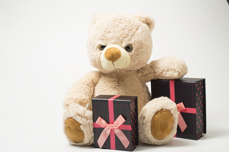 Teddy bear plush gifts