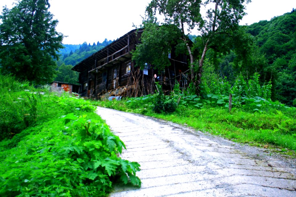 Başköy-Senoz-Çayeli-Rize