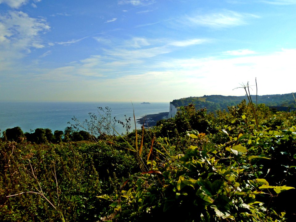 Kingsdown