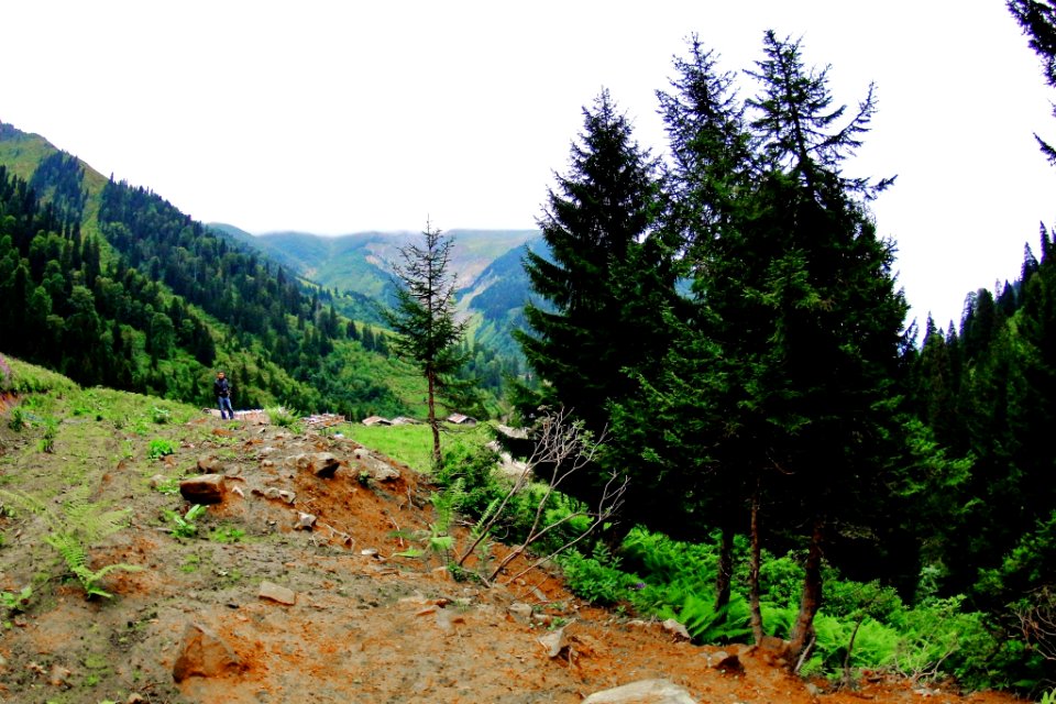 Çahçor yaylası Senoz Çayeli Rize