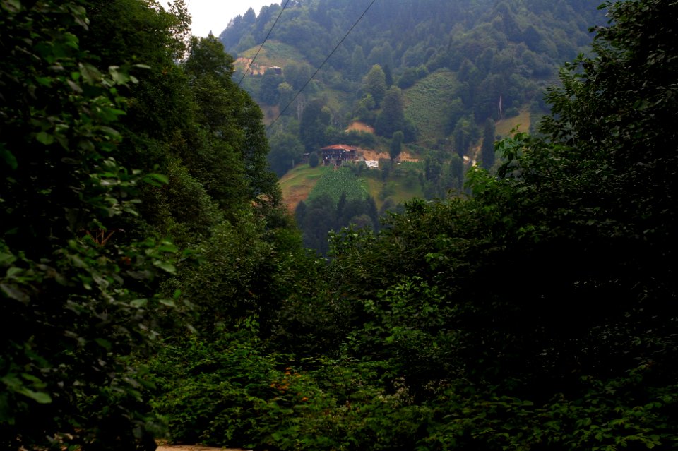 Başköy-Senoz-Çayeli-Rize