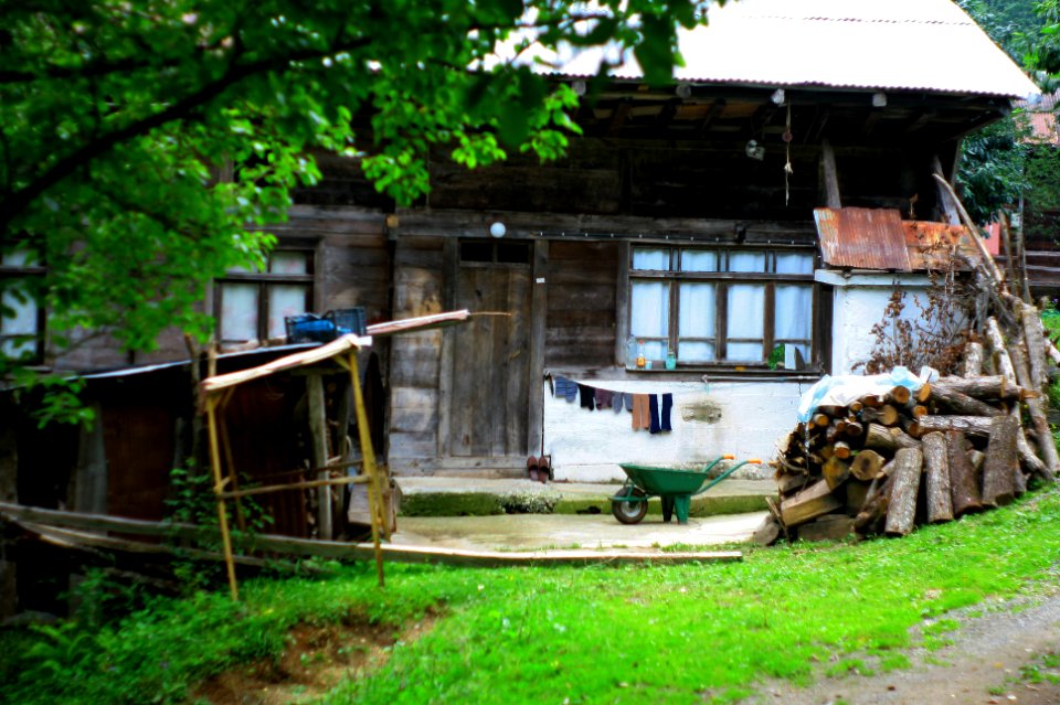 Başköy-Senoz-Çayeli-Rize