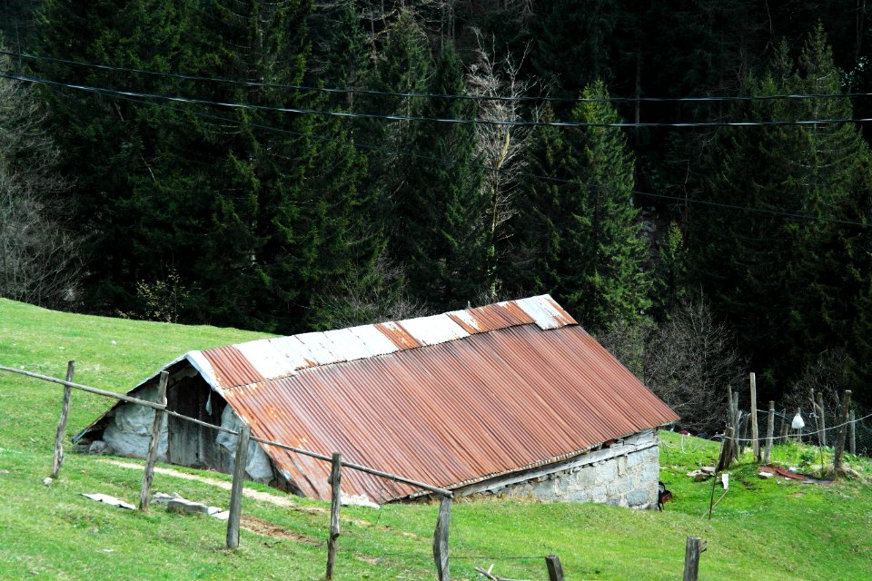 Ayder