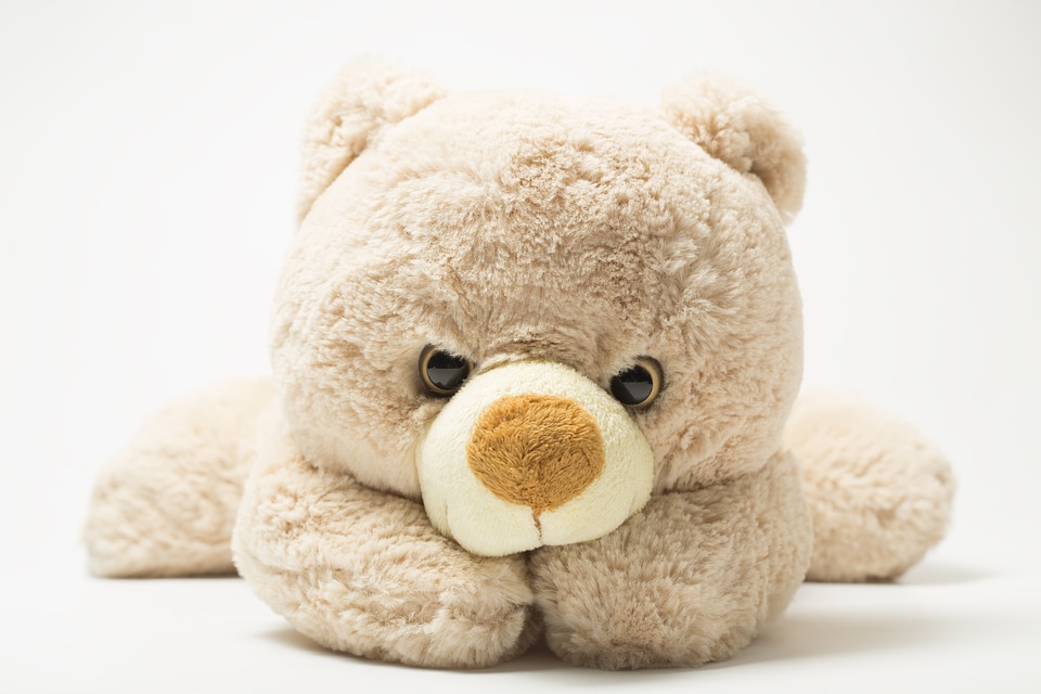 Teddy bear plush gifts