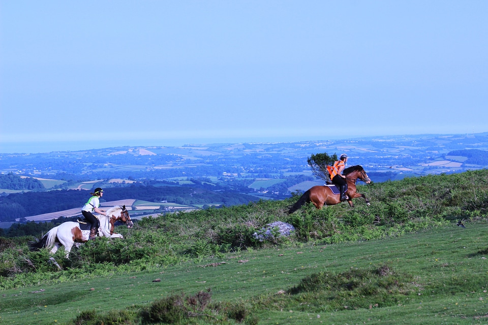Horse riding devon dartmoor