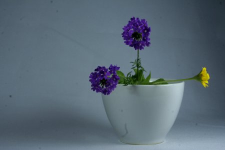 Fotografia a un objeto