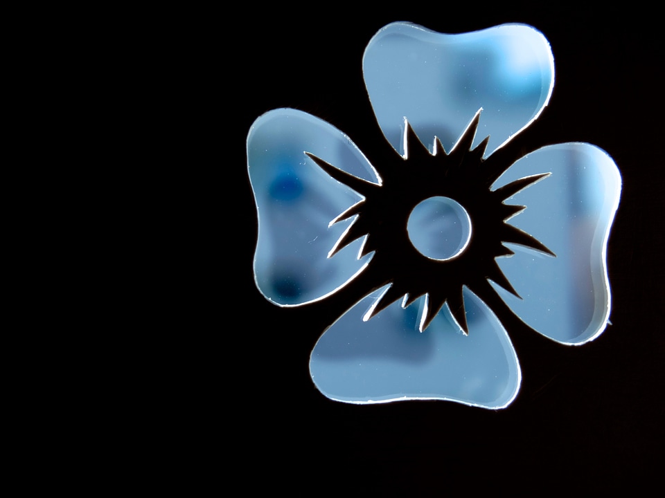 Gray-blue outlines silhouette