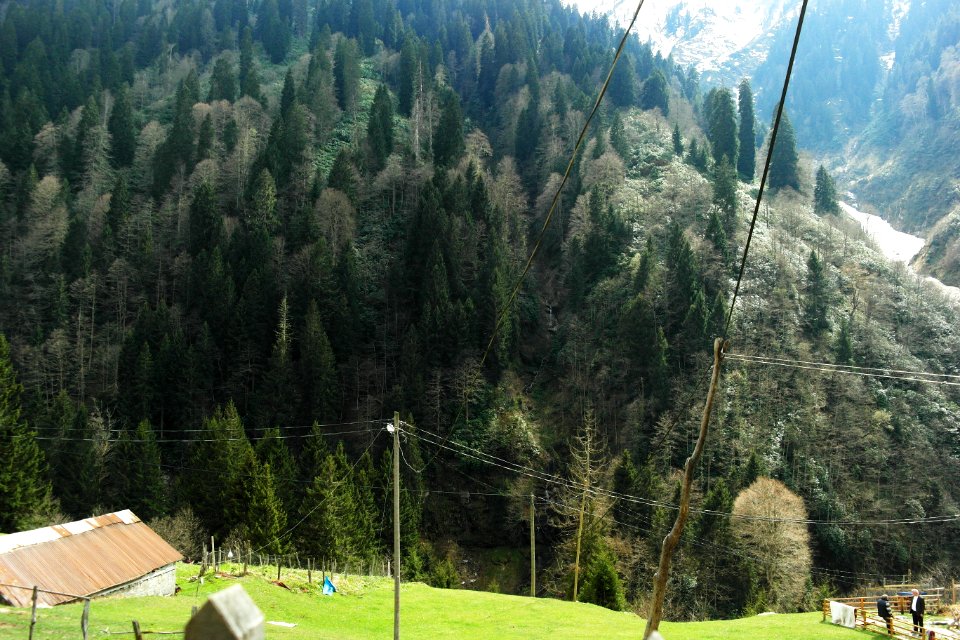 Ayder