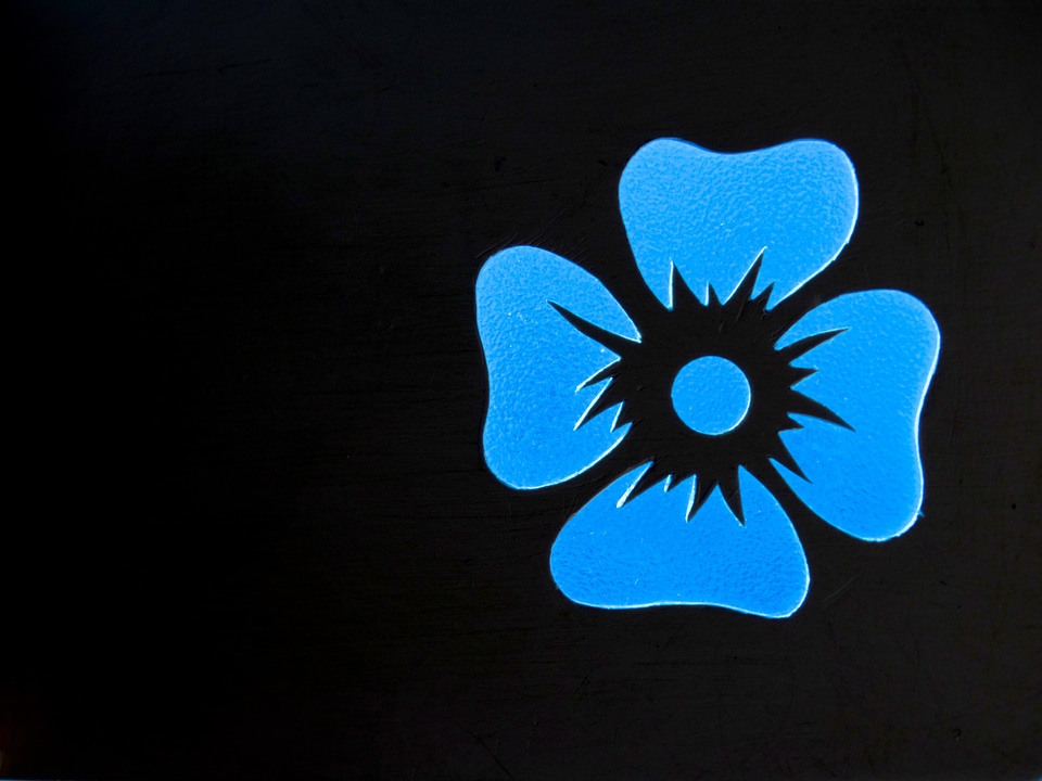 Blue outlines silhouette
