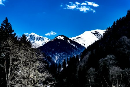 Ayder