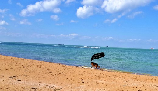 Palm Bay, Margate, Kent. photo