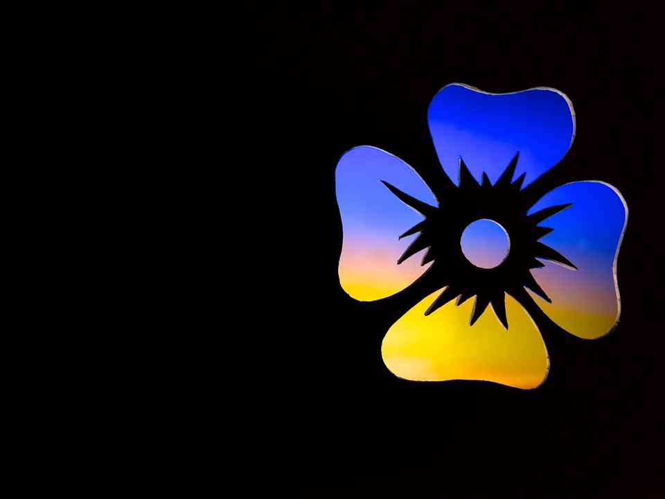 Yellow-blue outlines silhouette
